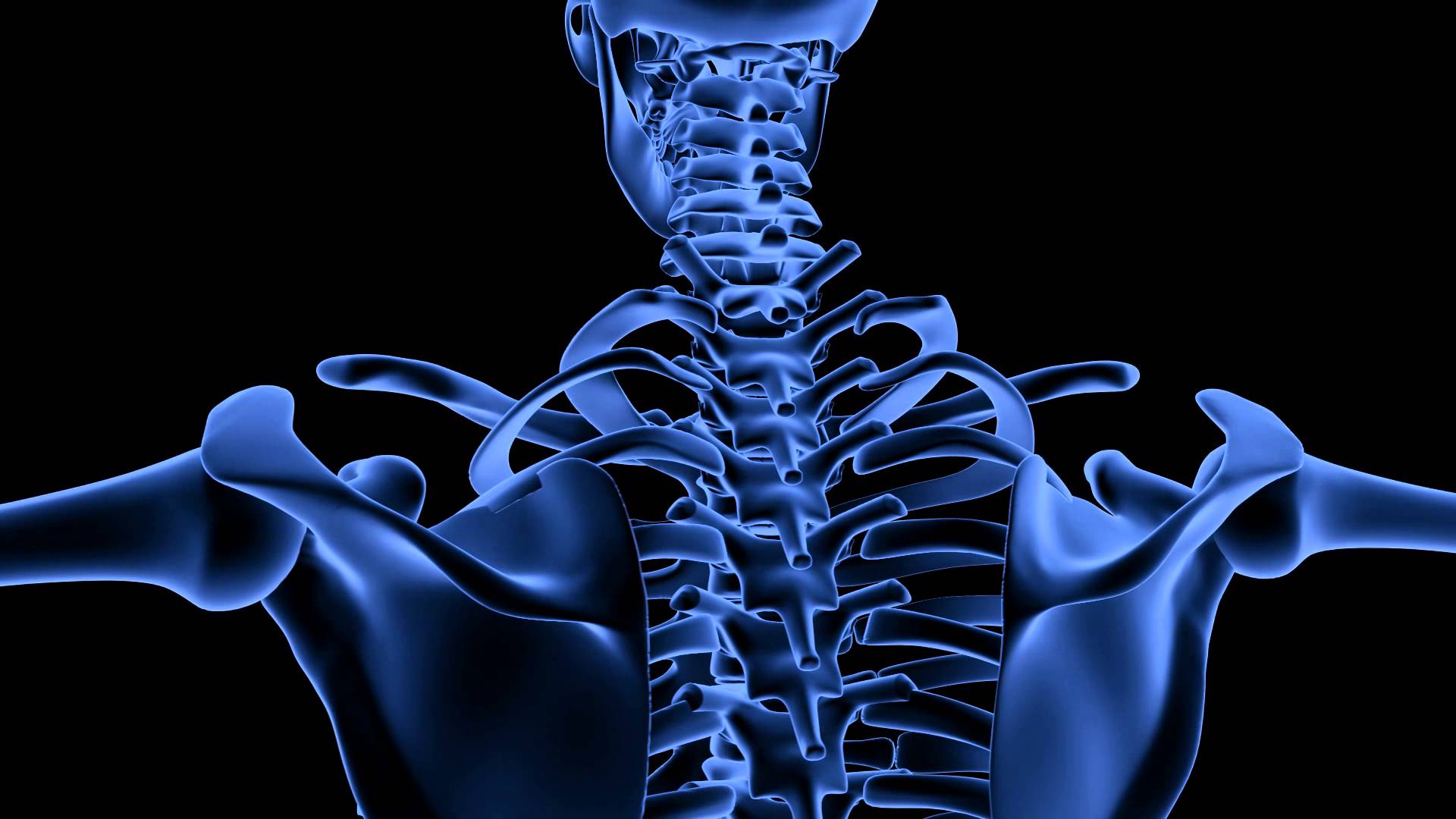 A closer look at osteopathy smp healthcare insurance brokers