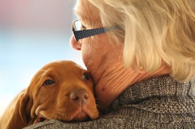 Why having a pet is good for your health Why having a pet is good for your health