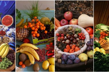 Can you really eat yourself healthy? Can you really eat yourself healthy?